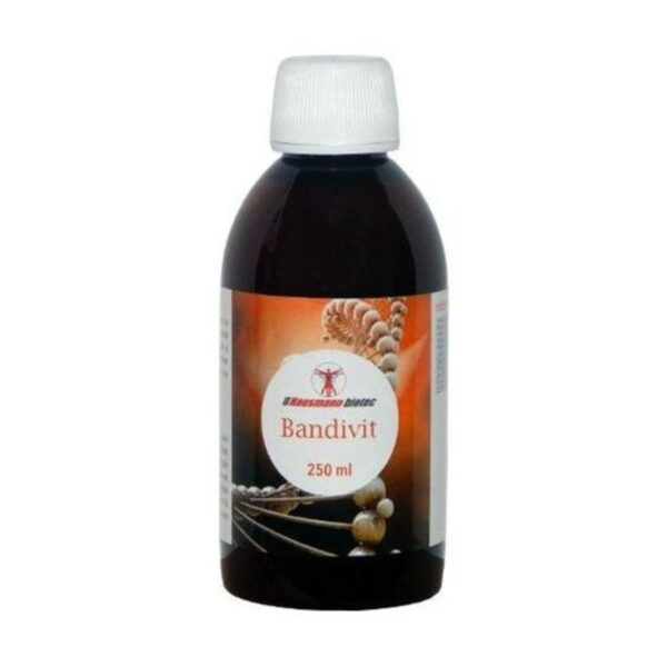 bandivit-jarabe-250-mlhausmann-biotic