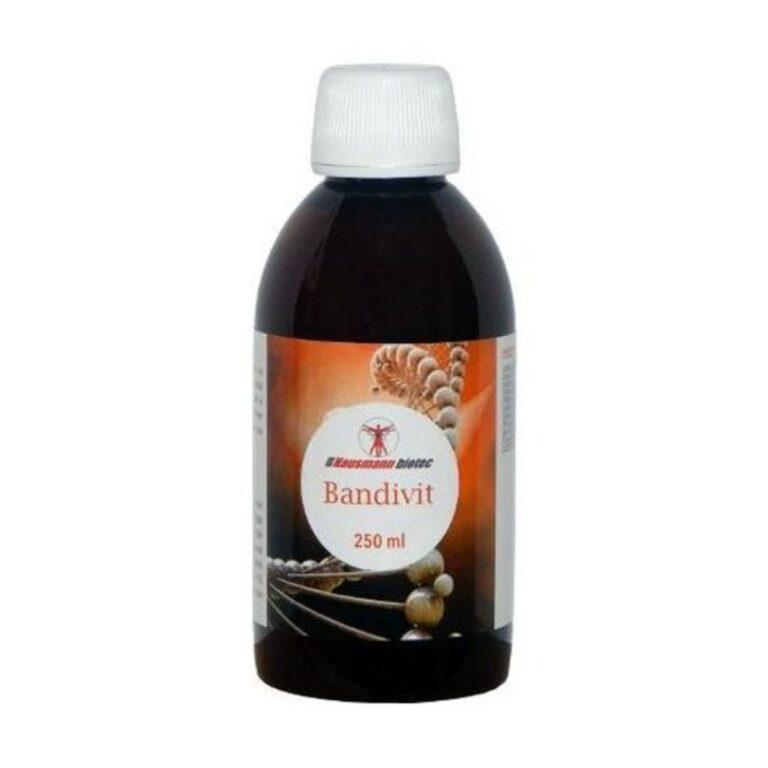 bandivit-jarabe-250-mlhausmann-biotic