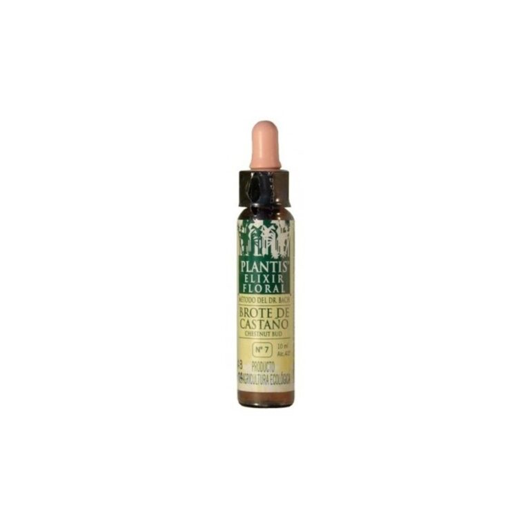 brote-castano-10-ml-n-7-artesania-plantis