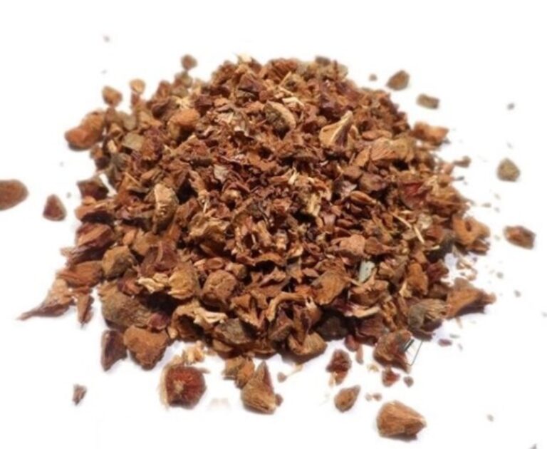 cipres-bayas-50-g-bedar