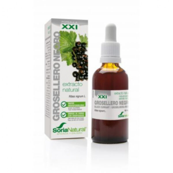 extracto-grosellero-negro-50-ml-xxi-soria-natural