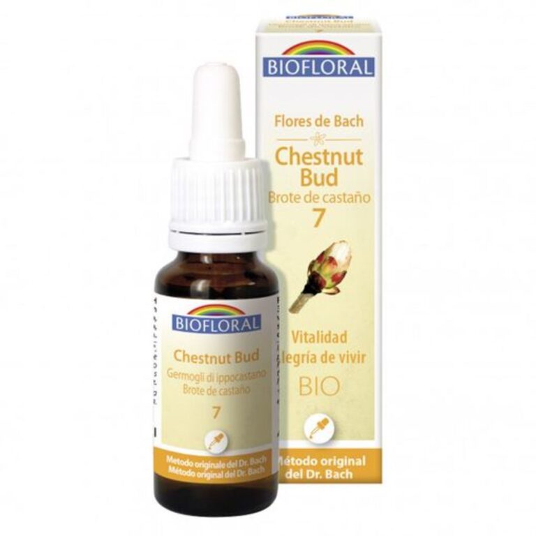 flores-de-bach-07-chestnut-bud-brote-de-castano-bibiofloral