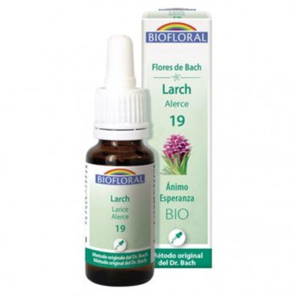 flores-de-bach-14-heather-brezo-bio-20-mlbiofloral