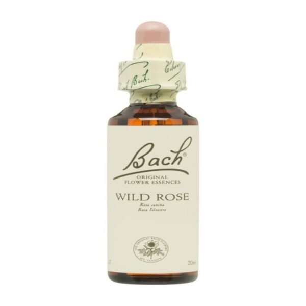 flores-de-bach-37-rosa-silvestre-20-ml