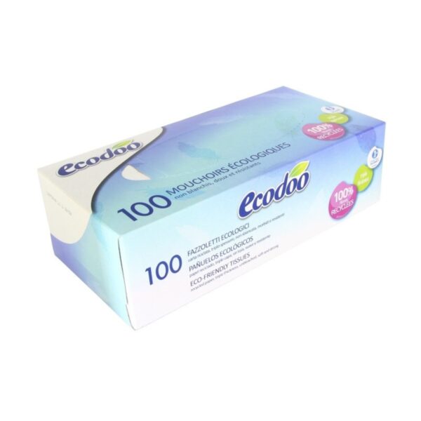 panuelo-de-papel-dispensadorecodoo