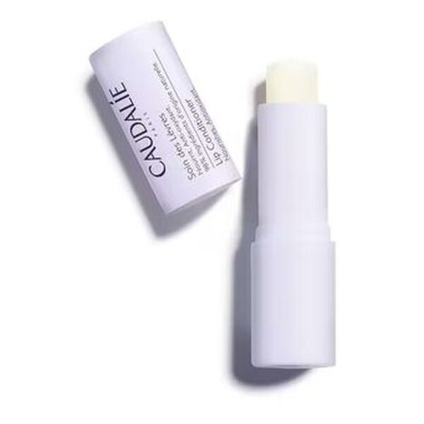 soin-des-levres-nourrissant-anti-oxydant-4-5-g-caudalie