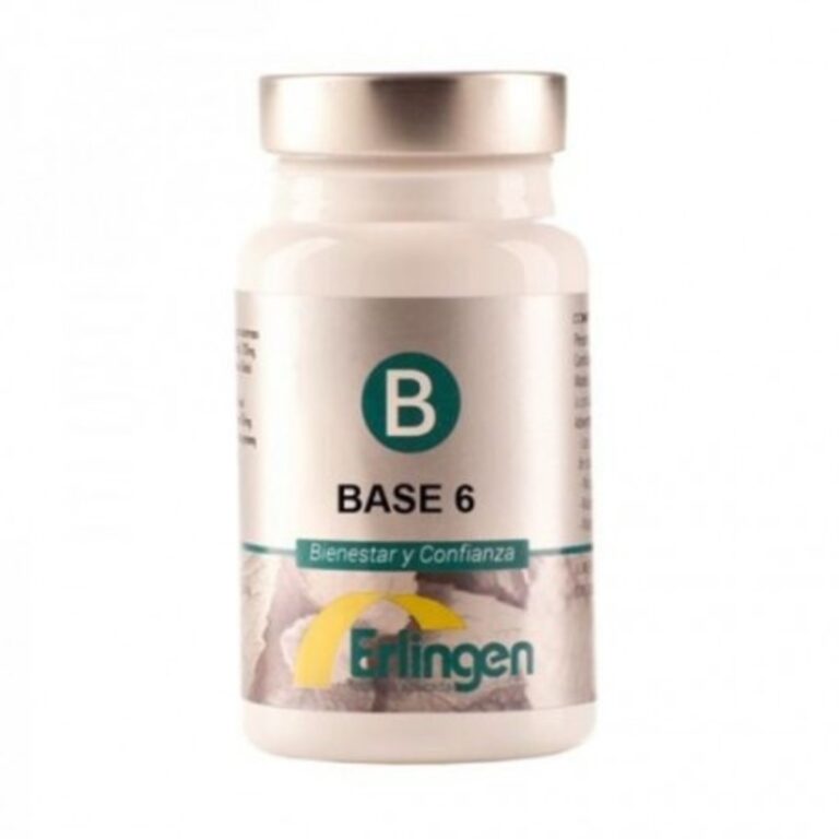 base-6-60-comprimidos-erlingen