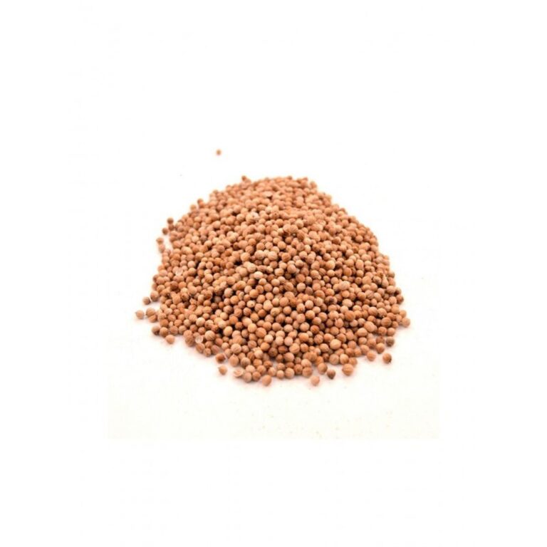 bedar-cilantro-70-gramos