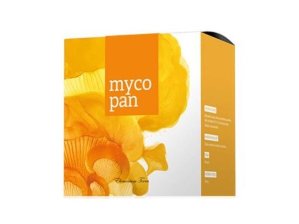mycopan-energy-90-capsulas